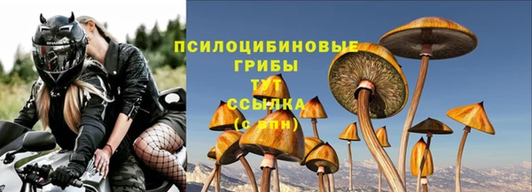 соль курить ск Белокуриха